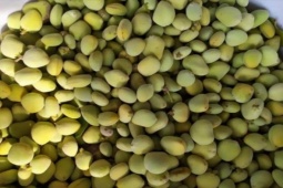 Thị trường - Tiêu dùng - Loại quả nhiều người Việt không biết tên, giờ thành đặc sản lạ được dân thành phố "săn lùng"