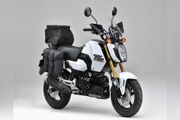 Thế giới xe - Xế mini 2024 Honda Grom mới tinh, giá suýt soát 58 triệu đồng