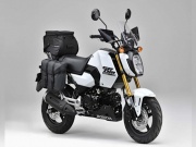 Thế giới xe - Xế mini 2024 Honda Grom mới tinh, giá suýt soát 58 triệu đồng