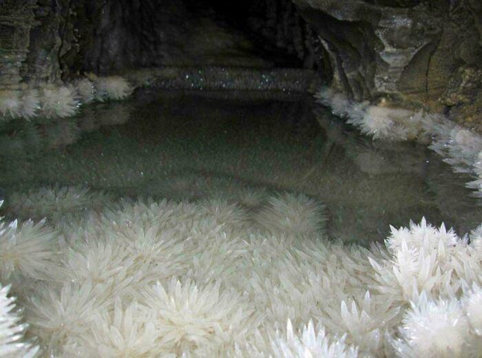 Một bể bơi đầy pha lê nằm sâu dưới mặt đất hàng trăm mét ở New Zealand. Nơi này ánh sát Mặt trời không thể xuyên qua và cũng rất khó đặt chân tới.