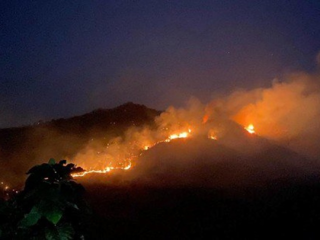 Tin tức trong ngày - Sơn La: Cháy hơn 50 ha rừng đang trong quy hoạch phòng hộ