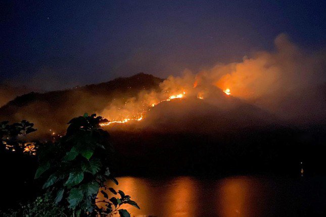 Hơn 50 ha rừng đã bị cháy trong đêm.