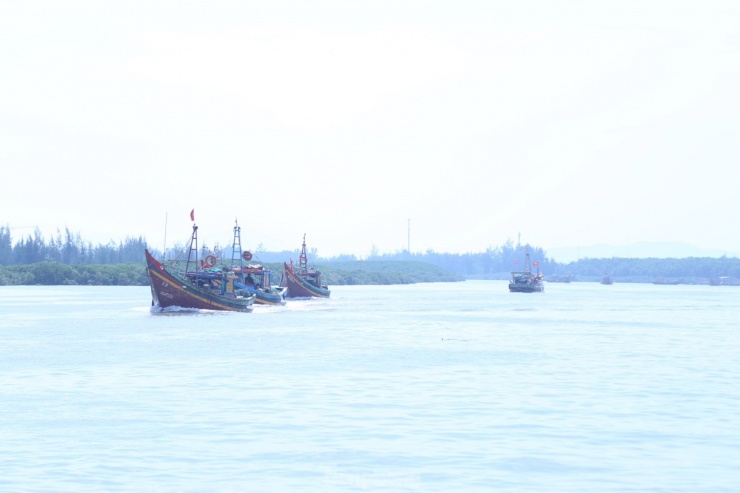 Những ngày này, tại cảng cá Lạch Vạn (huyện Diễn Châu, Nghệ An), từng lượt tàu, thuyền cập cảng với khoang đầy ắp các loại hải sản. Ngư dân hối hả dùng khay vận chuyển “lộc biển” lên bờ.