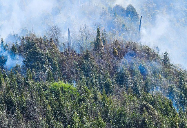 Các điểm cháy trong khu vực Vườn Quốc gia Hoàng Liên vẫn âm ỉ. Ảnh: Hân Nguyễn