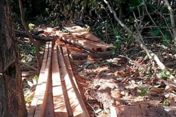 Hiện trường vụ 30 lâm tặc đe doạ lực lượng chức năng