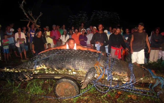 Lolong là con cá sấu lớn nhất thế giới.