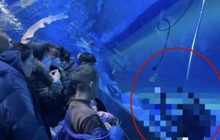 Một nhóm du khách phát hiện sự bất thường ở một thợ lặn trong bể thủy tinh. Ảnh: 163.com.