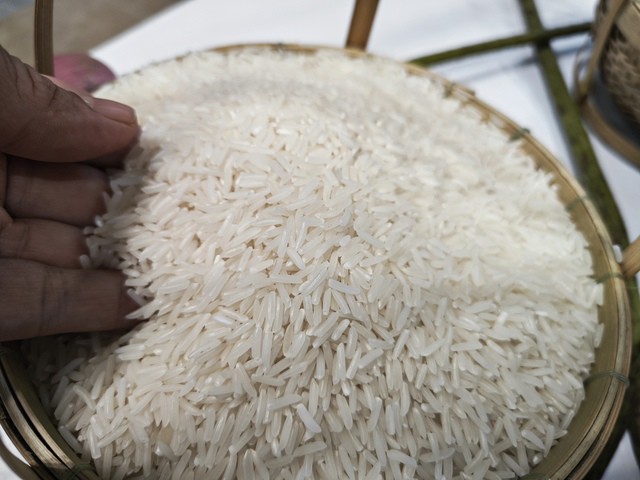Gạo Việt Nam giảm giá sâu khi bước vào vụ thu hoạch Đông Xuân