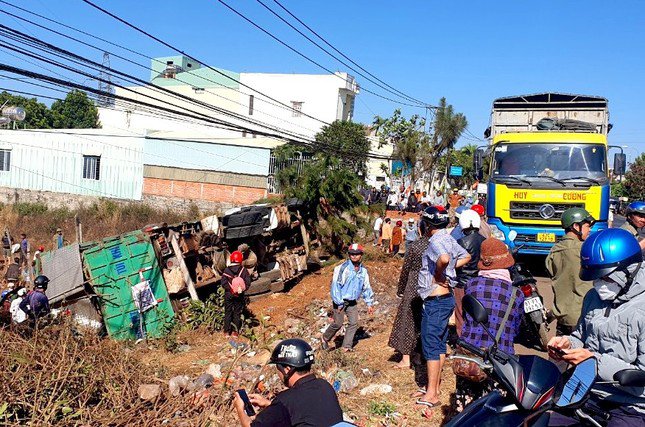 Xe tải chở 180 con heo gặp nạn, người dân tới tìm giúp tài xế - 2