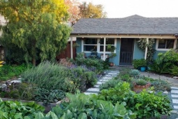 Kinh doanh - Căn nhà cấp 4 ai cũng mơ của cặp vợ chồng trẻ