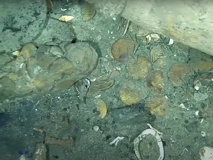 Tiền xu bằng vàng lộ diện bên trong xác tàu đắm San Jose trong một chuyến thám hiểm của chính phủ Colombia.