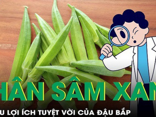 Ẩm thực - Đậu bắp - ‘nhân sâm xanh’, tìm hiểu lợi ích từ loại quả này