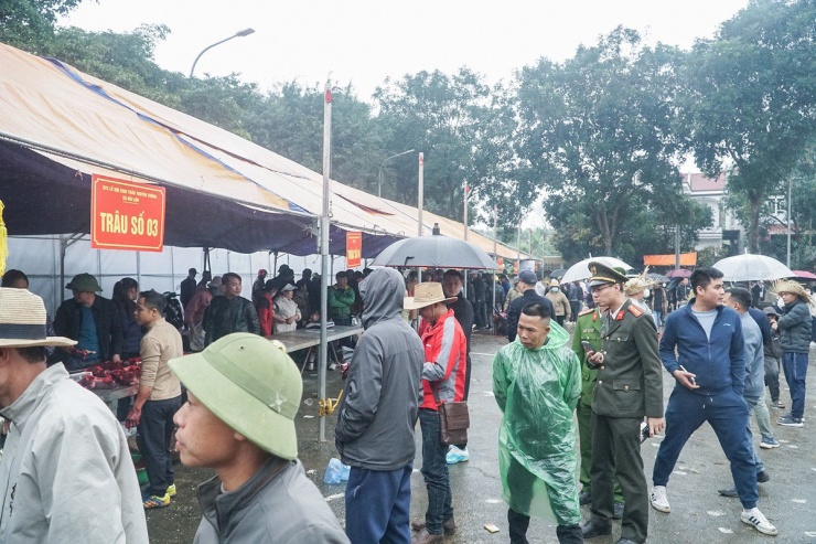 Ngày 25-2 (tức 16 tháng Giêng) Lễ hội chọi trâu truyền thống ở xã Hải Lựu, huyện Sông Lô, tỉnh Vĩnh Phúc đã chính thức diễn ra. Những trâu chọi thua sẽ nhanh chóng được đưa ra ngoài để mổ thịt phục vụ nhu cầu của người dân và du khách thập phương.