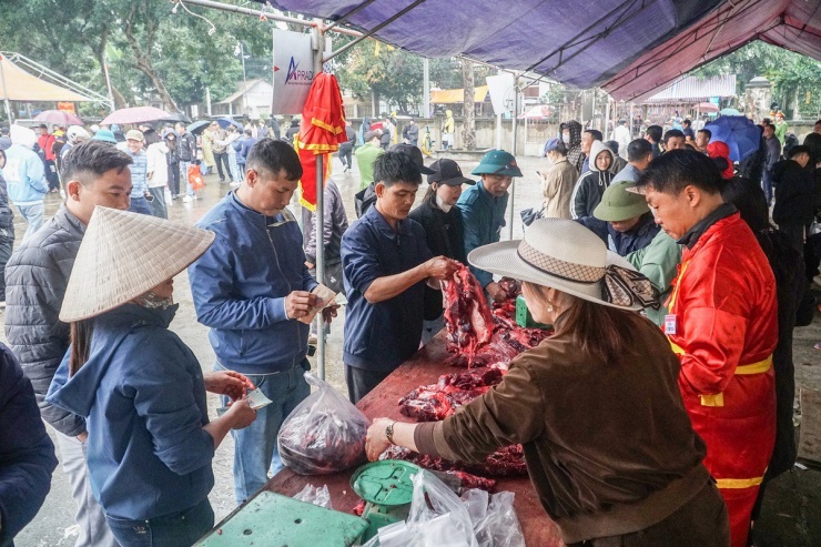 Để chống thịt trâu thường có thể trà trộn, Ban tổ chức bố trí nơi bán thịt trâu chọi nằm ngay trong khuôn viên của UBND xã Hải Lựu.