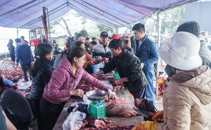 Theo khảo sát, trong khi giá thịt trâu thường chỉ khoảng hơn 200 nghìn đồng/kg thì thịt trâu chọi ngày 25-2 có giá 1 triệu đồng/kg. Đặc biệt thịt của con trâu đạt giải nhất sẽ có giá vài triệu đồng/kg.