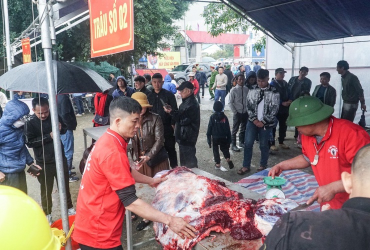 Lễ hội chọi trâu Hải Lựu năm 2024 được tổ chức từ 24 và 26-2 (tức 15 - 17 tháng Giêng, năm Giáp Thìn) tại sân vận động xã Hải Lựu với 20 con trâu đấu đến từ 10 thôn tham gia tranh tài. Trong đó, ngày 15 tháng Giêng diễn ra phần lễ, hai ngày còn lại là phần hội.