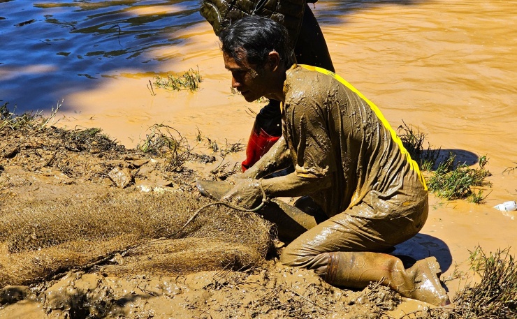 Một nhóm người dân lăn lộn trong bùn khi cố gắng giữ lại con cá to khi nó quẫy rất mạnh