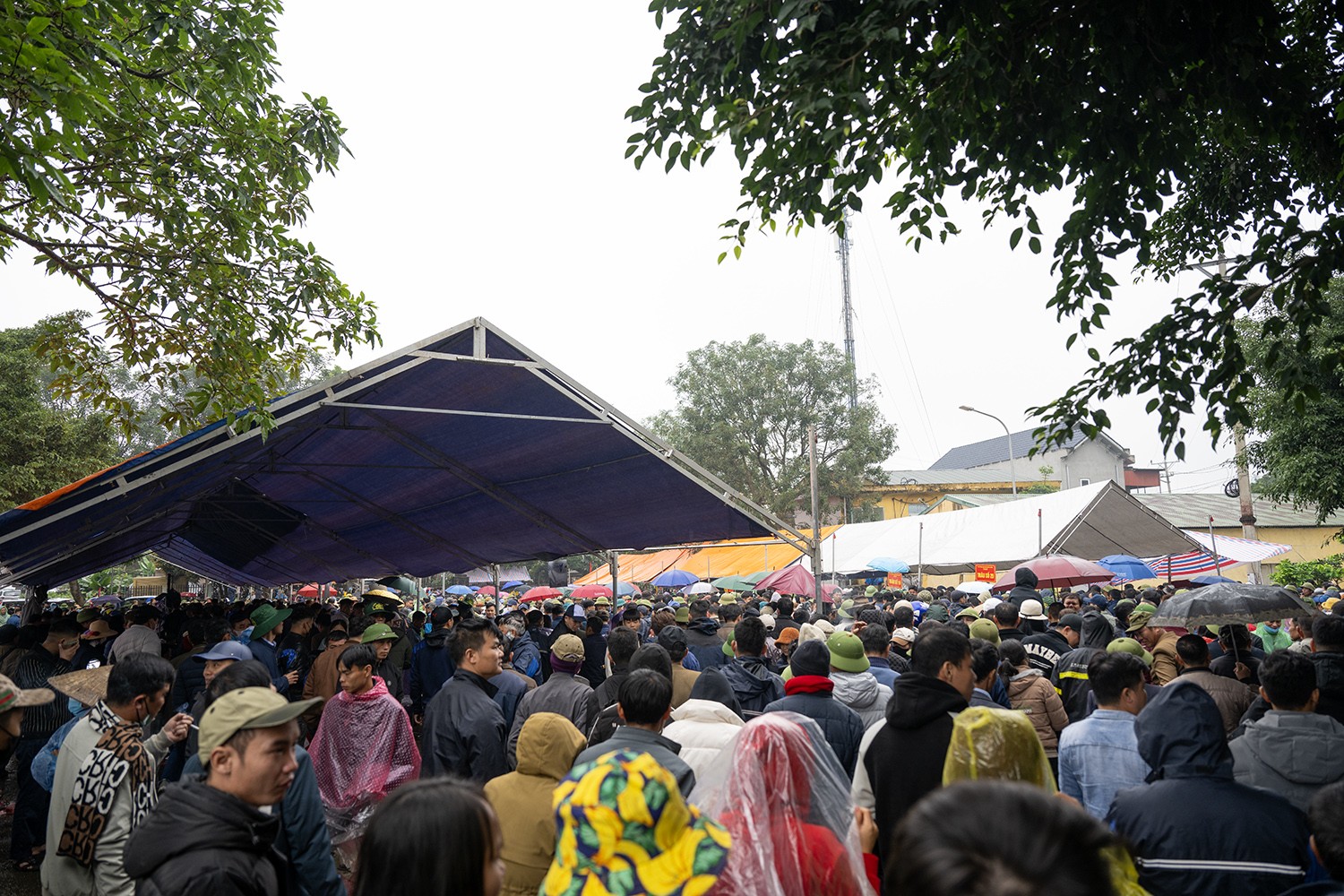 &nbsp; Đông đảo người dân tập trung ở sân UBND xã Hải Lựu để mua thịt trâu sau lễ hội