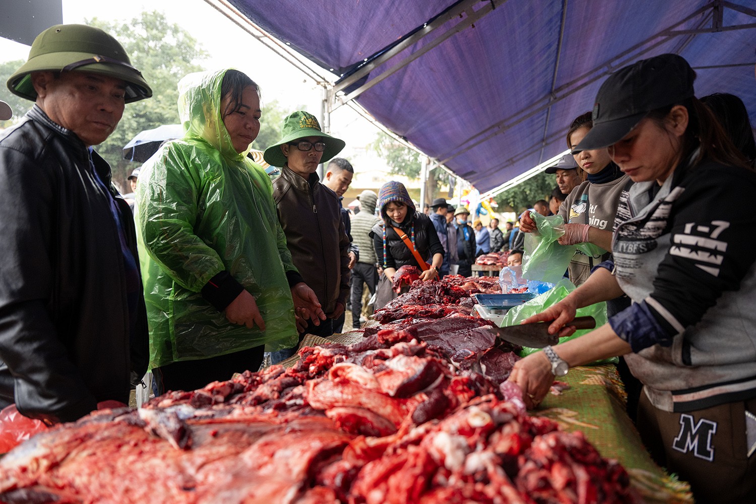 Tất cả những con trâu tham gia sau lễ hội đều được mang xẻ thịt để bán cho người dân và du khách