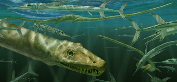 Dinocephalosaurus là loài sinh vật giống rắn sống dưới nước.