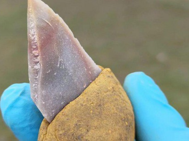 Thế giới - Sốc: Một loài người khác đã phát minh ra keo dán