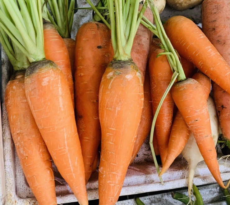 Cà rốt chứa nhiều chất dinh dưỡng và chất xơ cần thiết có thể giúp bạn no lâu hơn từ đó giúp bạn giảm cân. Ảnh: PHƯƠNG LÊ.