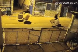 Pháp luật - Camera ghi lại cảnh thanh niên leo rào trộm chim ở TP HCM