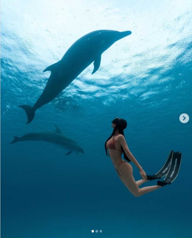 Nữ huấn luyện viên cá heo mảnh mai nhưng khỏe hơn đàn ông - 2