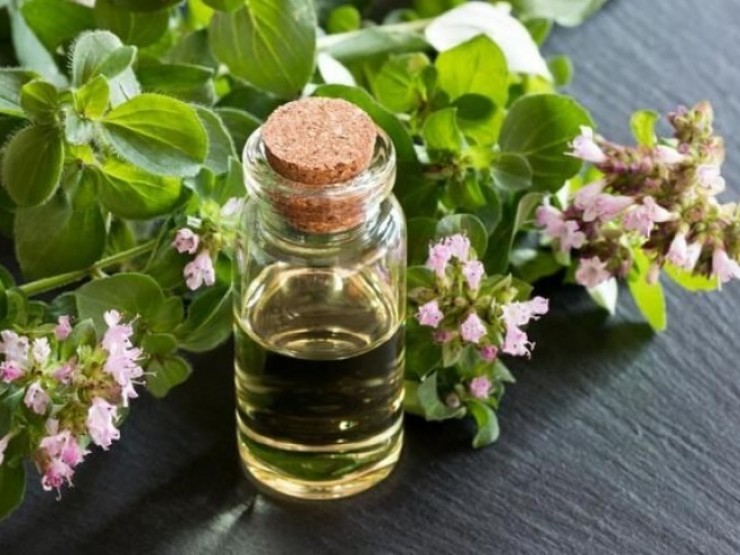 Loại gia vị quen thuộc nhưng lại có công dụng chữa “bách bệnh”
