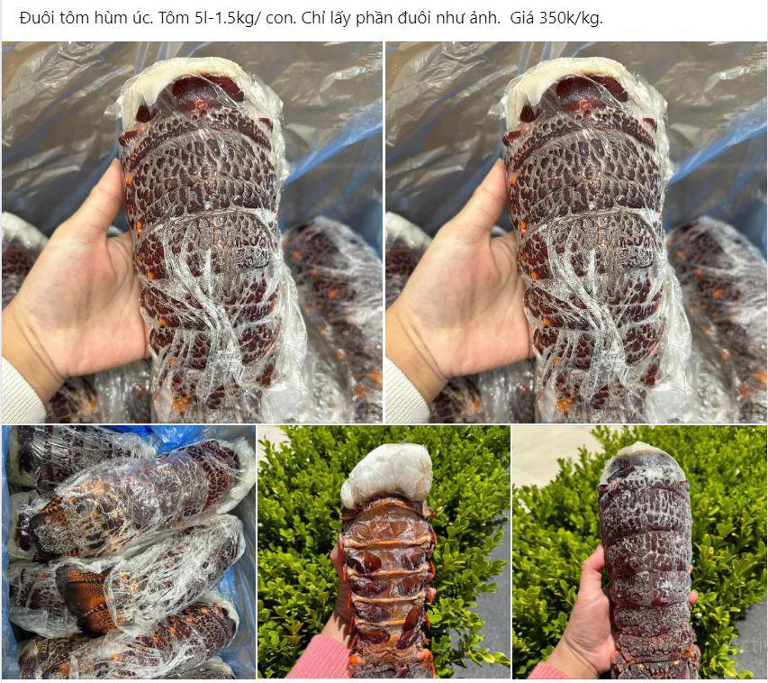 Đuôi tôm hùm Úc đang được rao bán trên chợ mạng với mức giá từ 350.000 đồng/kg. Ảnh chụp màn hình.