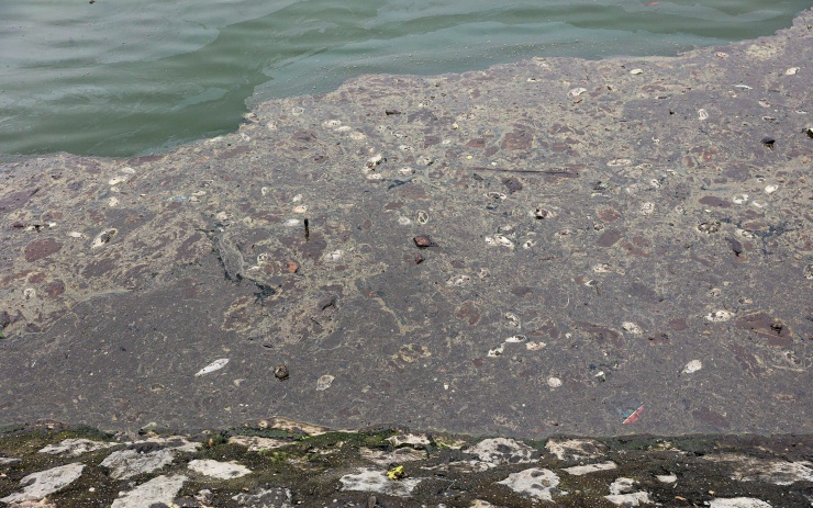 Theo phản ánh của người dân thời gian gần đây, ở hồ nước trong công viên Thiên văn học (phường Dương Nội, quận Hà Đông, TP Hà Nội) bất ngờ xảy ra hiện tượng cá chết, bốc mùi hôi thối gây ảnh hưởng đến người dân khi đến đây tham quan, tập thể dục