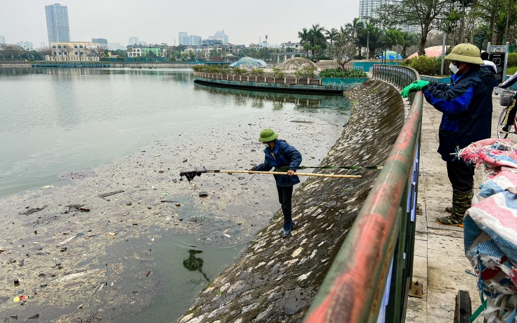 Thông tin từ UBND quận Hà Đông cho biết, đã nắm bắt được thực trạng nêu trên và đang yêu làm rõ nguyên nhân khiến cá trong hồ Bách Hợp Thủy bị chết. Đồng thời, yêu cầu chủ đầu tư thuê đơn vị vệ sinh môi trường vớt cá chết trong hồ, tránh ảnh hưởng tới người dân trong khu vực