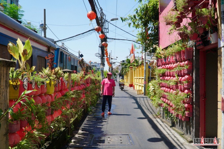 20m hàng rào được ông Chánh 'hoá hồng' với hàng trăm chai nhựa trồng cây xanh.