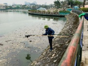 Tin tức trong ngày - Phát hiện chất lạ màu đen ở nơi cá chết trắng tại công viên Thiên văn học