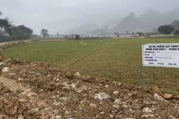 Tin tức trong ngày - Dự án đường dây 500kV: 'Trảm' nhà thầu ngay trên công trường