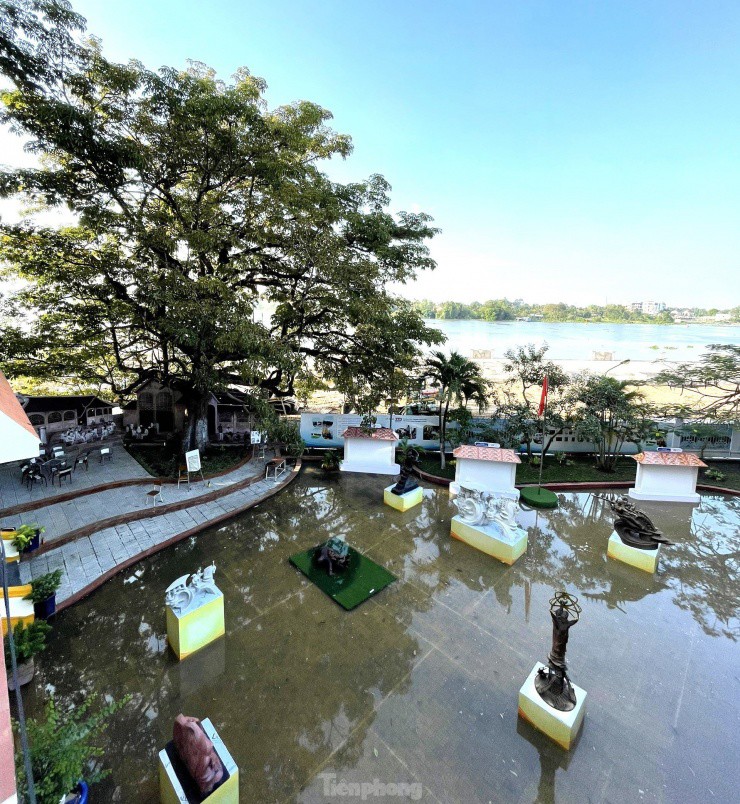 Bờ sông Sài Gòn được thành phố Thủ Dầu Một xây dựng đường Bạch Đằng, làm phố đi bộ, cây Trôm nằm ở vị trí sát tuyến đường này.