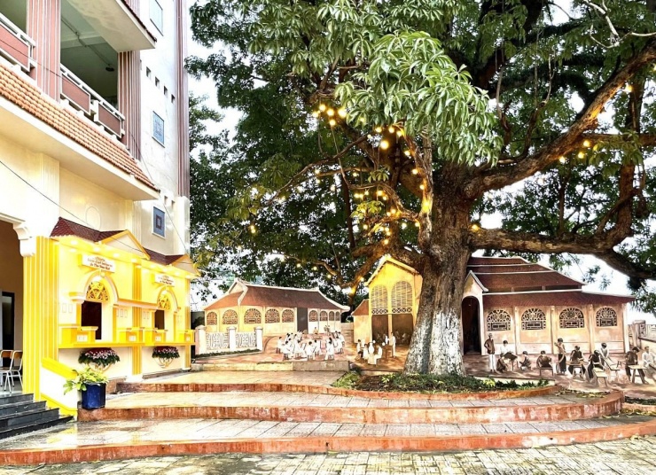 Theo thầy Lợi, việc công nhận cây Trôm trong khuôn viên trường là Cây Di sản Việt Nam có ý nghĩa về lịch sử, văn hóa và xã hội, đồng thời nhằm góp phần bảo tồn đa dạng sinh học, đa dạng loài cây, bảo vệ cảnh quan môi trường, tạo mảng xanh đô thị.