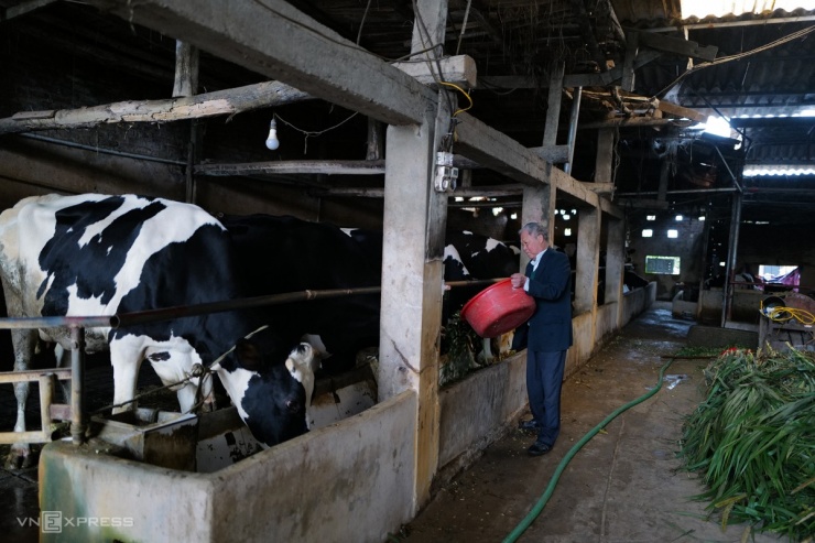 Người dân Minh Châu chủ yếu trồng chuối, chăn nuôi lợn, bò sữa. Đàn bò của xã trên 4.600 con, trong đó khoảng 2.200 bò sữa sản xuất hơn 20 tấn sữa/ngày; số còn lại là bò sinh sản và bò thịt.