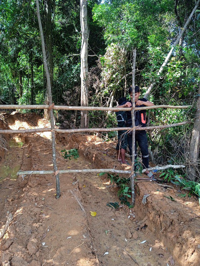 Khởi tố vụ hủy hoại rừng để làm đường dây thủy điện Tr&#39;Hy ở Quảng Nam - 4
