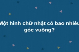 Giáo dục - du học - Loạt câu đố cho học sinh cấp 2 mà nhiều người lớn chưa chắc trả lời đúng hết