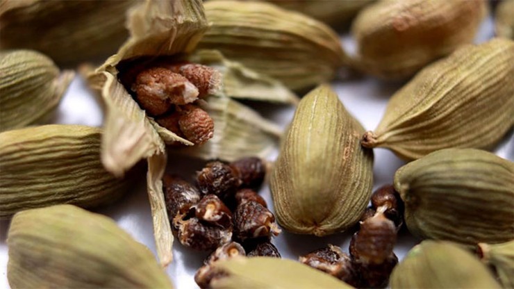 Hạt bạch đậu phơi khô.
