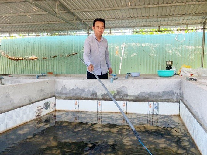 Anh Trần Tấn Giang&nbsp;chăm sóc lươn tại trang trại. Ảnh: Báo Bà Rịa-Vũng Tàu