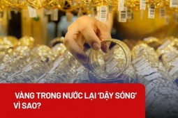Media - Vàng trong nước lại ‘dậy sóng’, vì sao?