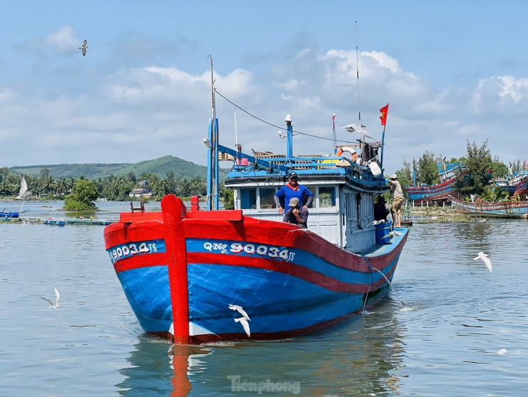 Ngư dân &#39;hốt bạc&#39; vì trúng đậm mẻ cá lớn trong đêm - 3