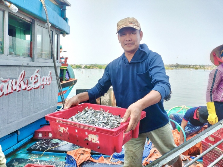 Ngư dân &#39;hốt bạc&#39; vì trúng đậm mẻ cá lớn trong đêm - 8