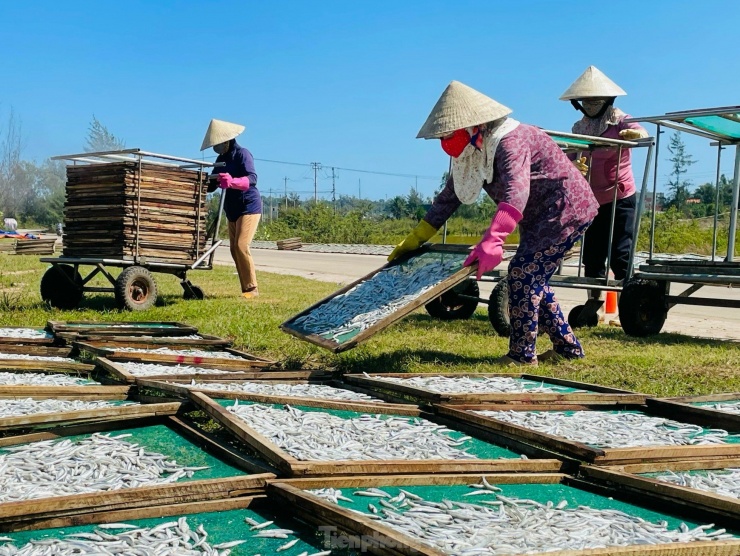 Trung bình một ngày, mỗi lao động ở đây có thu nhập từ 100-300 ngàn đồng. Ảnh: Nguyễn Ngọc