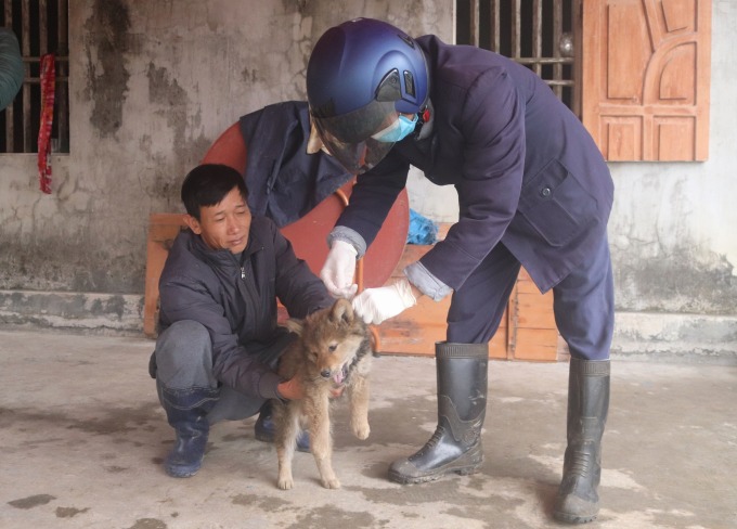 Tổ công tác phòng chống bệnh dại xã Dực Yên tiêm vaccine phòng dại cho chó nuôi của người dân. Ảnh: DDCI Đầm Hà