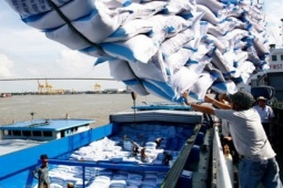 Thị trường - Tiêu dùng - Quốc gia nào ở Đông Nam Á nhập khẩu hơn 1 triệu tấn gạo từ Việt Nam?