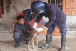 Tin tức trong ngày - Chó dại vào trường cắn 14 học sinh và giáo viên như thế nào