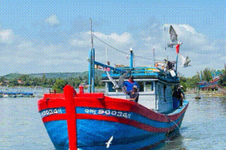 Ngư dân 'hốt bạc' vì trúng đậm mẻ cá lớn trong đêm